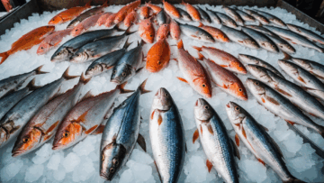 découvrez les informations essentielles sur la présence possible de mercure dans les sardines, ses risques pour la santé et les précautions à prendre pour une consommation sécurisée.